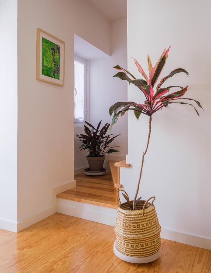 Botanic Garden Duplex Villa ปอนตาเดลกาดา ภายนอก รูปภาพ